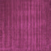 Square Abstract Purple Contemporary Rug, con105pur