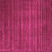 Square Abstract Pink Contemporary Rug, con105pnk