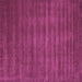 Square Machine Washable Abstract Purple Contemporary Area Rugs, wshcon105pur