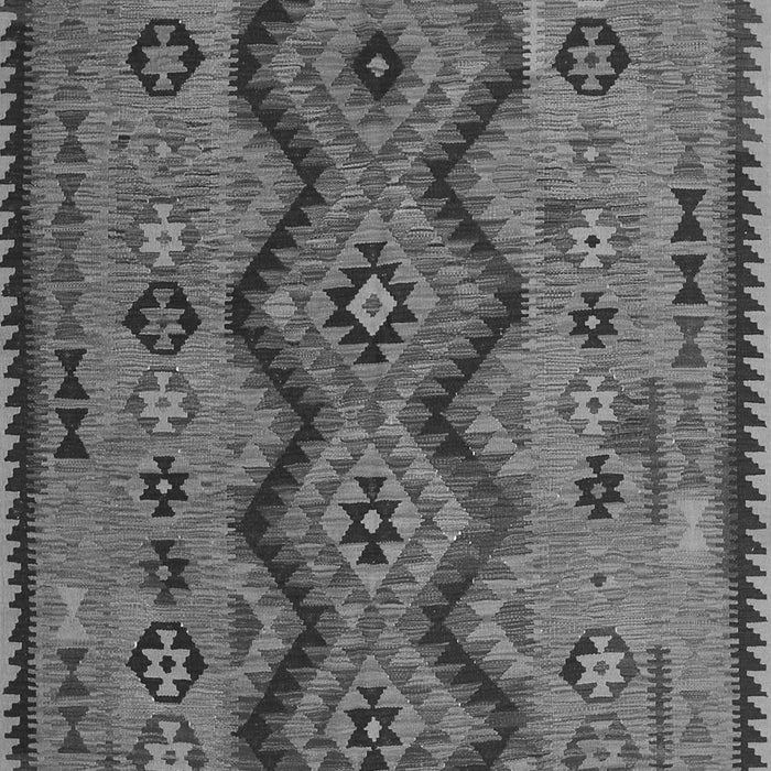 Oriental Gray Traditional Rug, con1096gry