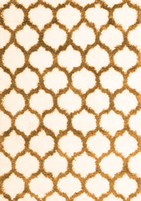 Terrilis Orange Contemporary Rug, con1103org