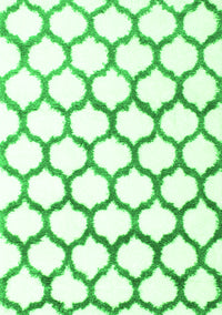 Terrilis Green Contemporary Rug, con1103grn