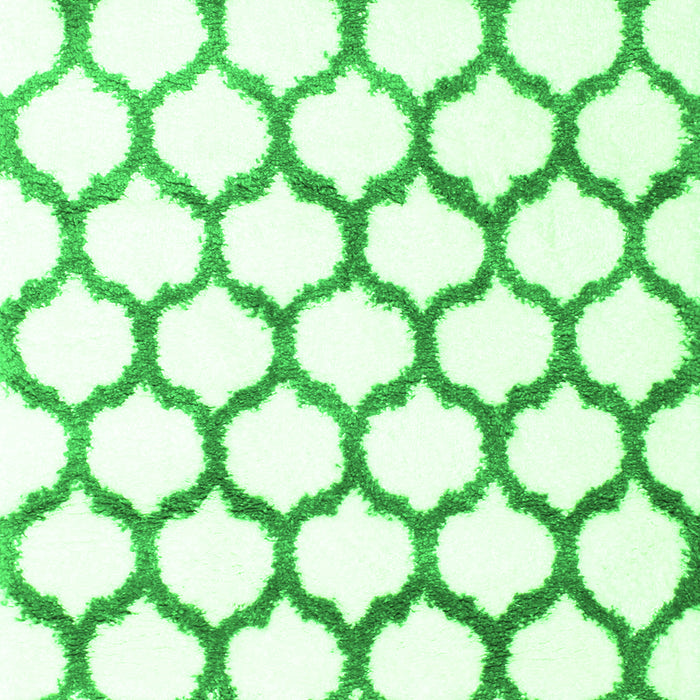 Terrilis Green Contemporary Rug, con1103grn