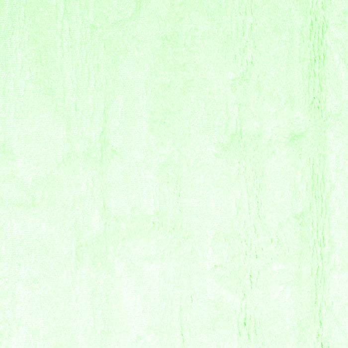 Solid Green Modern Rug, con1104grn