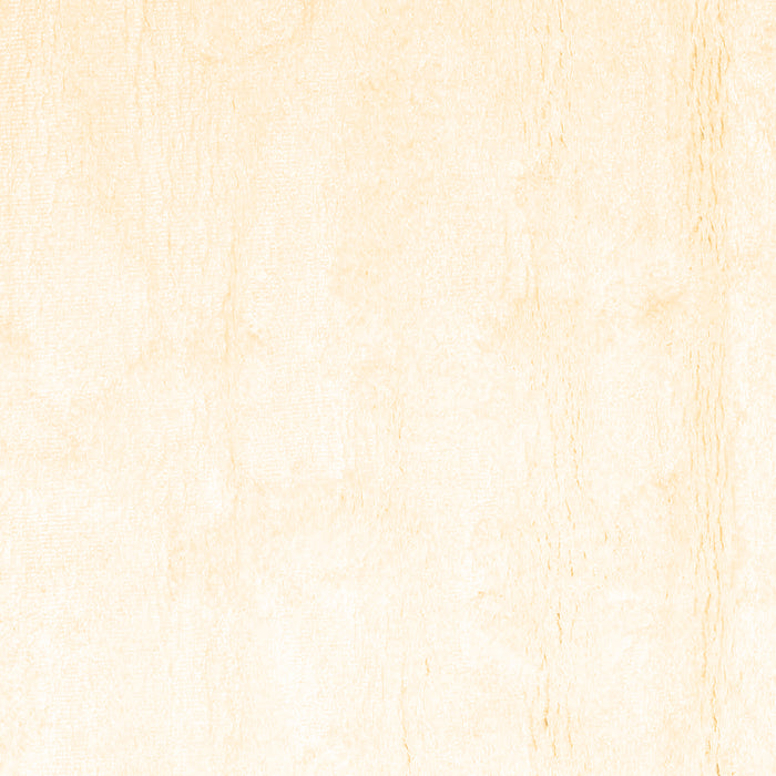 Solid Brown Modern Rug, con1104brn