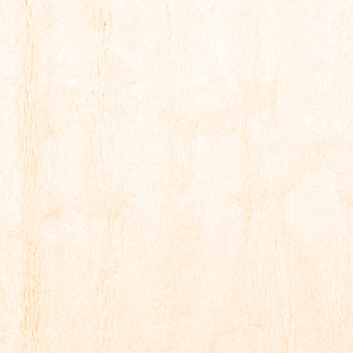 Solid Orange Modern Rug, con1104org