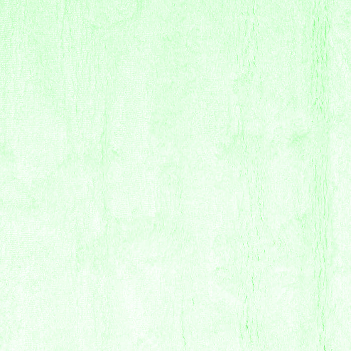 Solid Emerald Green Modern Rug, con1104emgrn