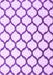 Machine Washable Terrilis Purple Contemporary Area Rugs, wshcon1109pur