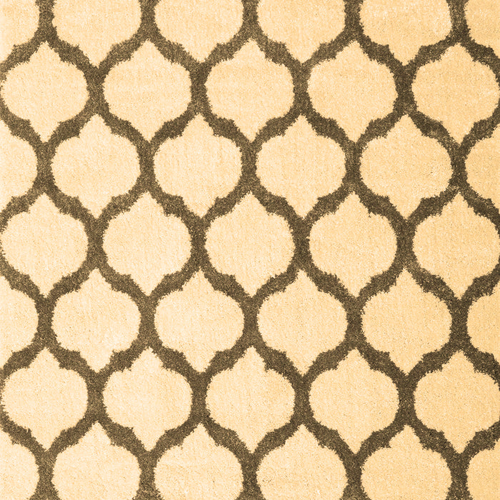 Machine Washable Terrilis Brown Contemporary Rug, wshcon1109brn
