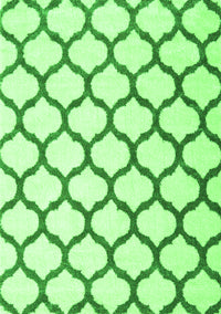 Terrilis Green Contemporary Rug, con1109grn