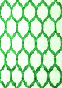 Terrilis Green Contemporary Rug, con1112grn