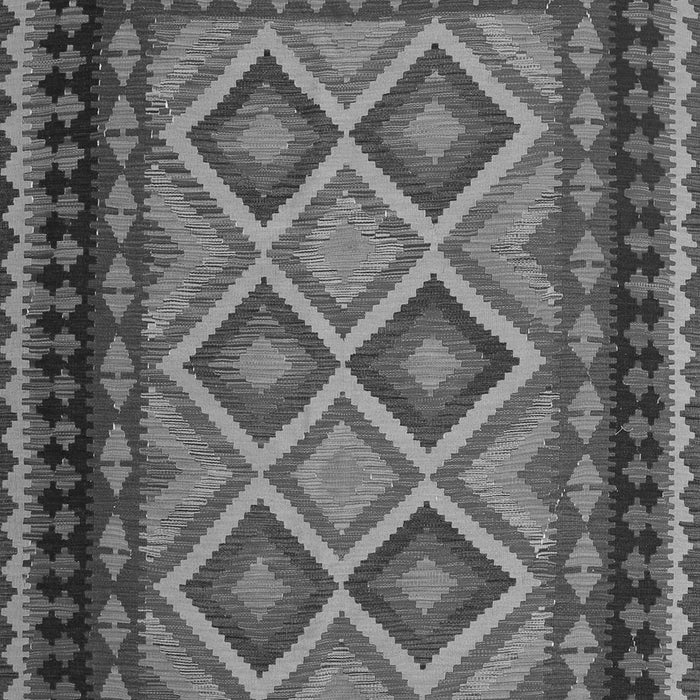 Oriental Gray Traditional Rug, con1118gry
