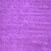 Square Abstract Purple Contemporary Rug, con1138pur