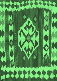 Southwestern Emerald Green Country Rug, con1152emgrn