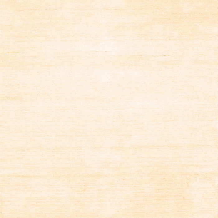 Solid Orange Modern Rug, con117org