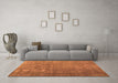 Machine Washable Persian Orange Bohemian Area Rugs in a Living Room, wshcon1186org