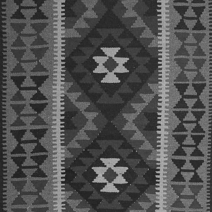 Oriental Gray Traditional Rug, con1187gry