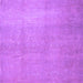 Square Abstract Purple Contemporary Rug, con1212pur