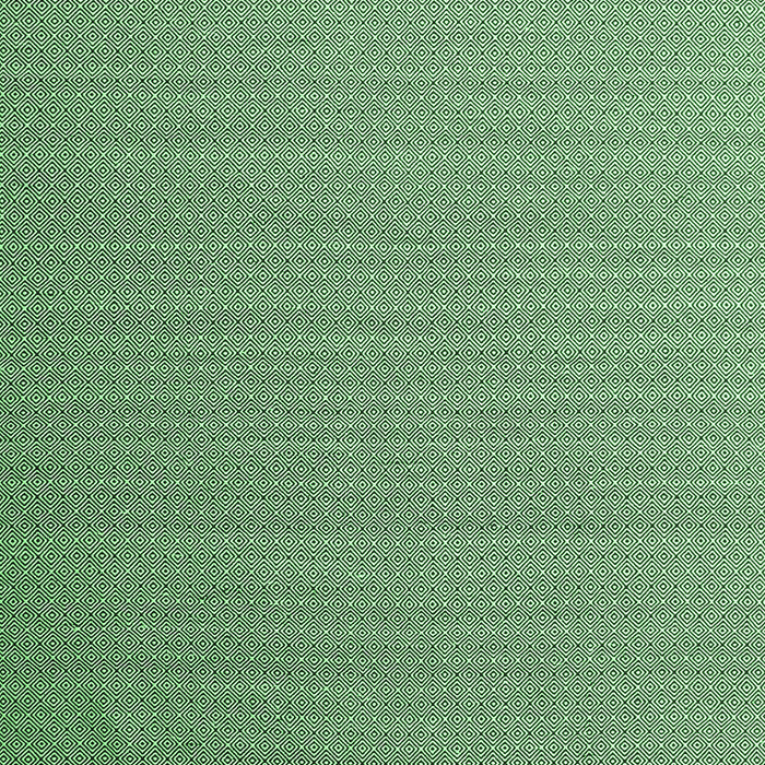 Abstract Emerald Green Contemporary Rug, con1223emgrn