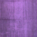 Square Abstract Purple Contemporary Rug, con1228pur