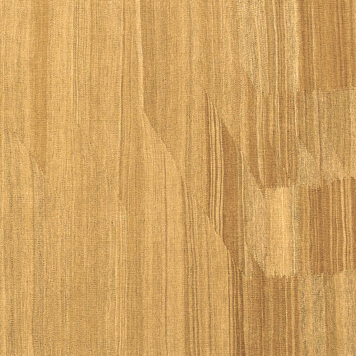 Square Abstract Brown Contemporary Rug, con1246brn