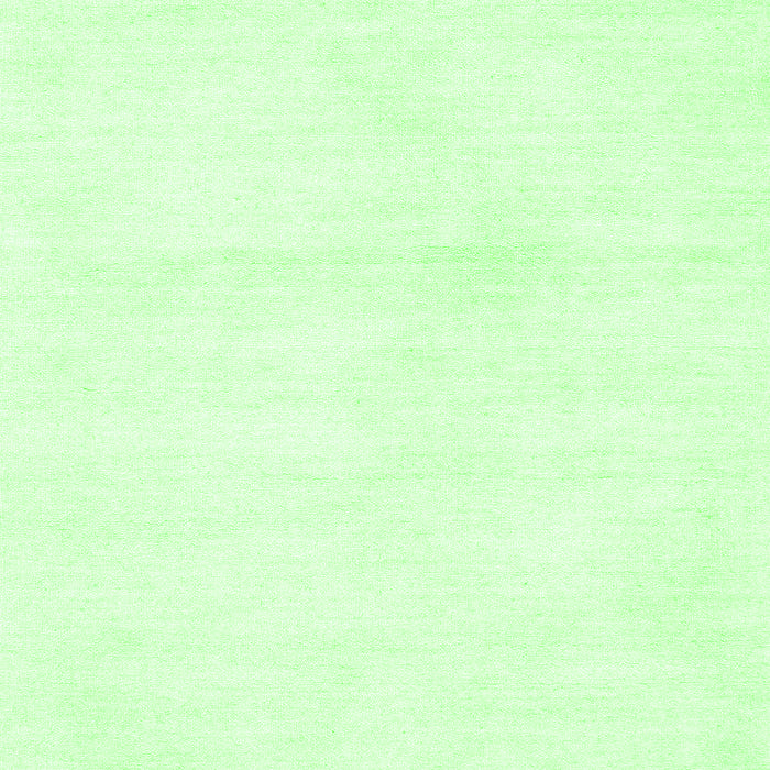 Solid Green Modern Rug, con127grn