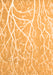 Abstract Orange Contemporary Rug, con1284org