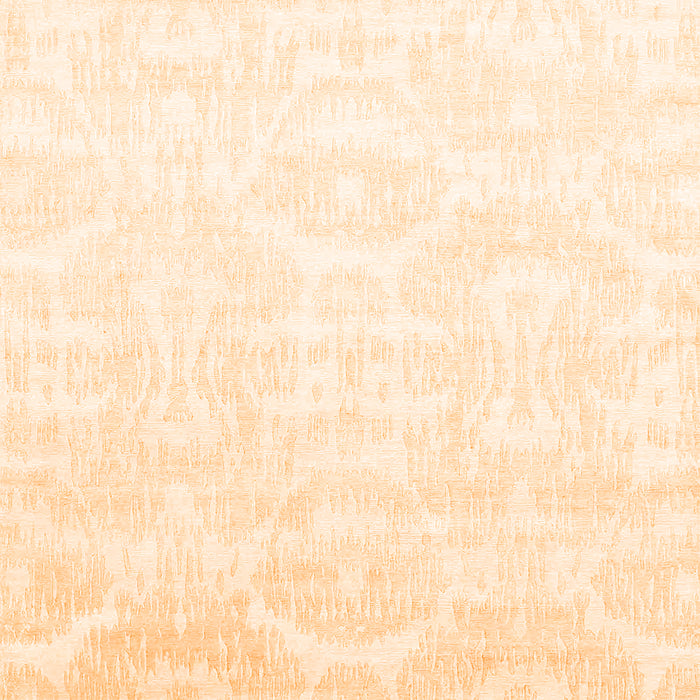 Solid Orange Modern Rug, con1289org