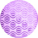 Round Solid Purple Modern Rug, con1298pur