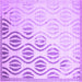 Square Machine Washable Solid Purple Modern Area Rugs, wshcon1298pur