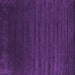 Square Abstract Purple Contemporary Rug, con130pur