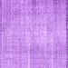 Square Abstract Purple Contemporary Rug, con1317pur