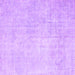 Square Abstract Purple Contemporary Rug, con1328pur