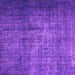 Square Persian Purple Bohemian Rug, con1334pur