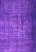 Machine Washable Persian Purple Bohemian Area Rugs, wshcon1334pur