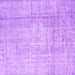 Square Machine Washable Abstract Purple Contemporary Area Rugs, wshcon1343pur