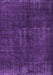 Persian Purple Bohemian Rug, con1366pur