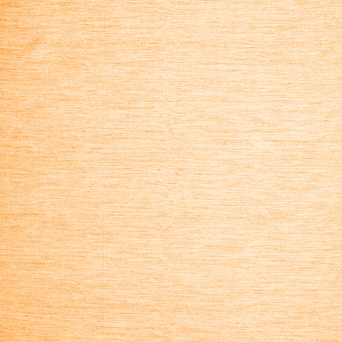 Solid Orange Modern Rug, con1370org