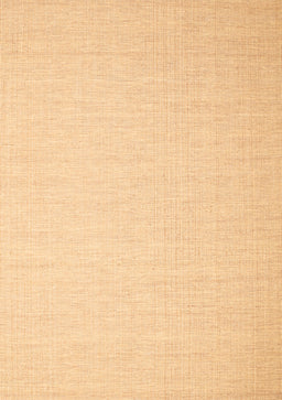 Abstract Brown Contemporary Rug, con1372brn