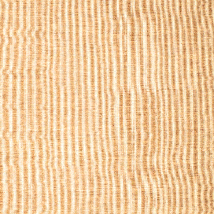 Abstract Brown Contemporary Rug, con1372brn