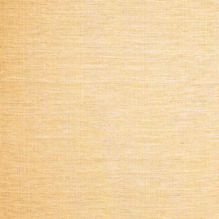 Abstract Orange Contemporary Rug, con1373org