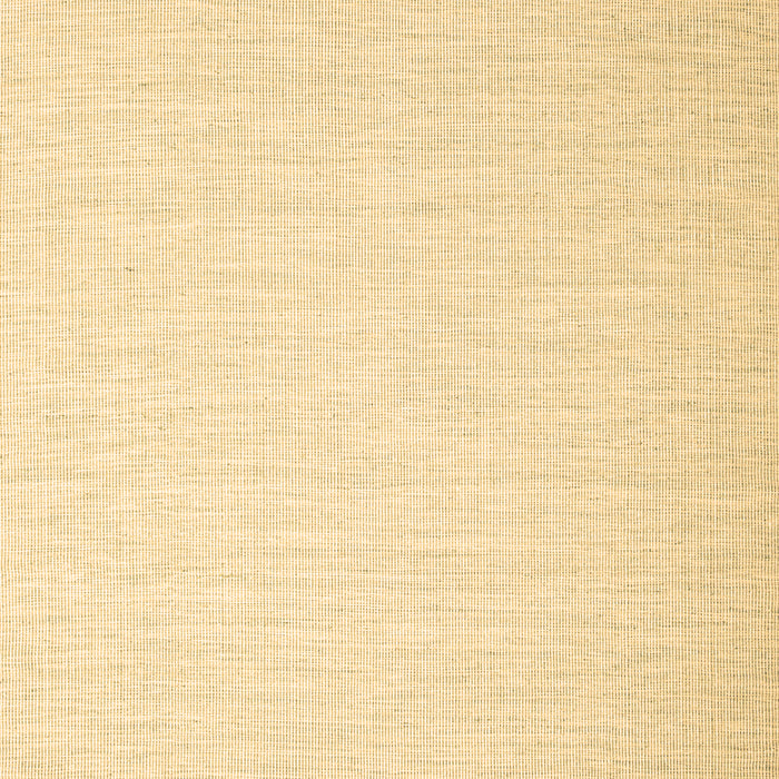 Machine Washable Abstract Brown Contemporary Rug, wshcon1373brn