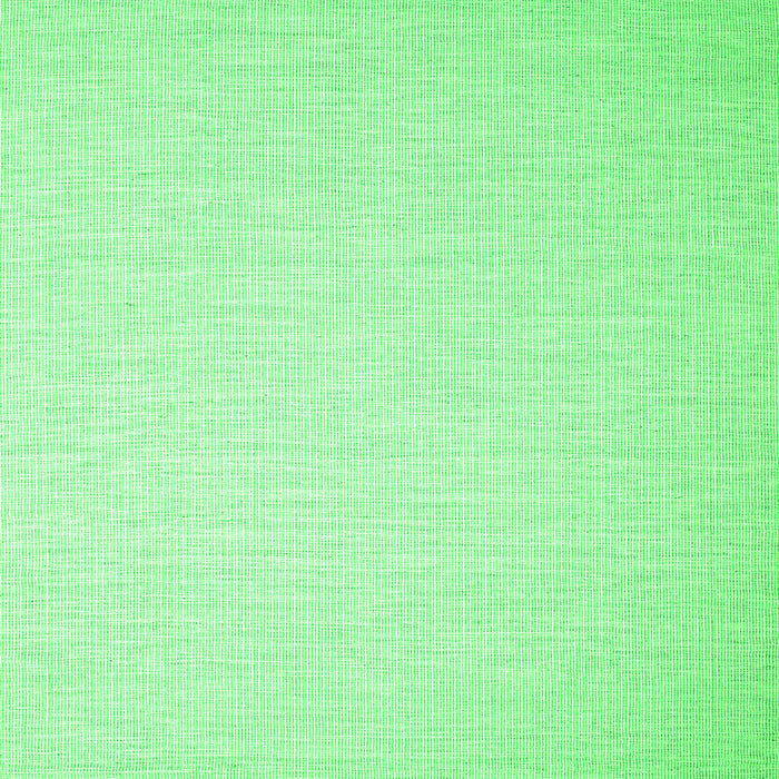 Serging Thickness of Abstract Green Contemporary Rug, con1373grn