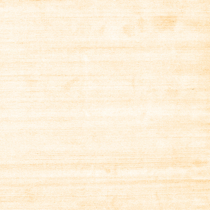 Solid Brown Modern Rug, con1417brn