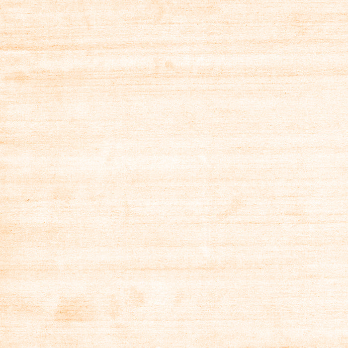 Solid Orange Modern Rug, con1417org