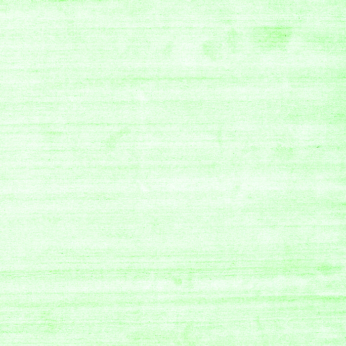 Solid Green Modern Rug, con1417grn