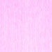 Square Solid Pink Modern Rug, con1435pnk