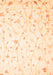 Solid Orange Modern Rug, con1475org