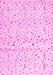 Solid Pink Modern Rug, con1486pnk