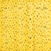 Square Solid Yellow Modern Rug, con1486yw